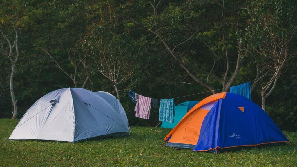 pexels bertellifotografia 13872565